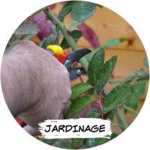 jardinage-taille jardinage-taille